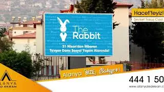 The Rabbit Cafe & Bistro