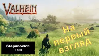 Valheim | Обзор | На первый взгляд