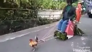 AFRICA ^BEST RIDE^ FUNNY VIDEO 2017 [BEST BEST RIDE]