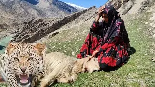 The Hard Life of Mountain Nomads: Concerns About Leopards Preying on Their Goats