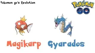 Pokemon Go's Evolution: Magikarp evolves Gyarados