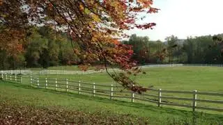 COUNTRY PICTURES!