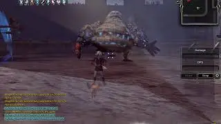 DN EU Bleed Phantom Golem DPS TEST (POV1)