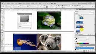 Video tutorial InDesign CS6: come creare un book sfogliabile