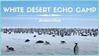 Celestielle #399 White Desert Echo Camp Antarctica