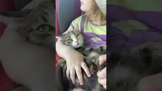 😉😻❤️