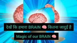 Science is Fun 🤩| never seen before | hmara brain kitna powerfull hai | The psychology of brain 🧠