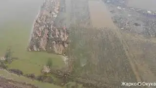 Stigli nam Labudovi u Posavinu.