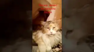 16 января 2023 г.