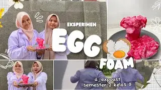EKSPERIMEN KIMIA || EGG FOAM