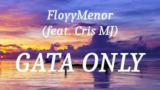 FloyyMenor (feat. Cris MJ) - GATA ONLY (lyrics)