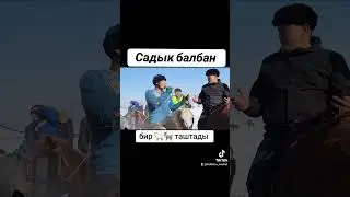 Садык балбан бир койусту бир эчкиге таштады