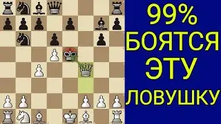 ЭТА ЛОВУШКА РАЗНОСИТ ЛЮБОГО СОПЕРНИКА ЛЮБОГО УРОВНЯ. Шахматы ловушки
