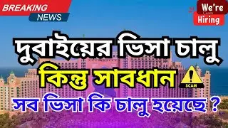 দুবাই ভিসা আপডেট 2025: কোন ভিসা চালু, কোনটা বন্ধ? Dubai Visa Update 2025