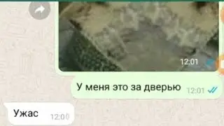 Ко мне в дверь кто-то стучится😨🐍 | переписка