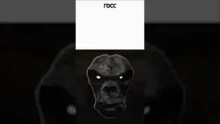 rocc