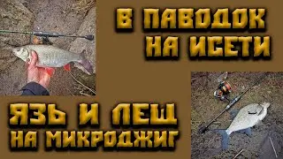 Рыбалка на Исети по большой воде.Язи и лещи на микроджиг