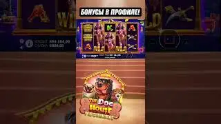 ЗАНОС В АЛАДИНЕ ЗАНОСЫ ЕКДКЛИ 