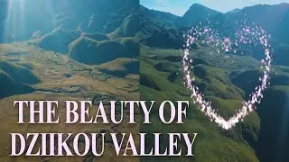 Hiking Haven || Dzükou Valley's Paradise for Outdoor Lovers