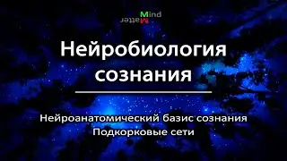 [3] Нейробиология сознания. Нейроанатомический базис сознания. Подкорковые сети