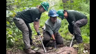 Why I Chose This Job: Conservation Work in the Woods