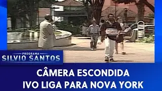 Ivo calls New York | Hidden Cameras (05/06/20)
