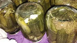 рецепт самых вкусных огурцов 😍😍😍