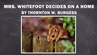 MRS.  WHITEFOOT DECIDES ON A HOME - Whitefoot the Woodmouse / to listen the book