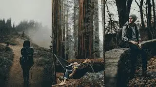 Free Preset DNG | How to edit dark autumn colours grading in lightroom mobile devices tutorial 