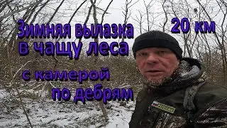 20 км по зимнему лесу, что я увидел в глуши