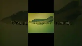 ysgbkusrhgsnukvh srb !!!!!!