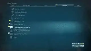 Phantom Pain lvls 40+ story