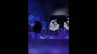 Chilling Adventure Sabrina Opening (Gacha Remake) | Gacha Short | @catacurry2.0