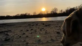 Обычная зимняя рыбалка на щуку на раскатах. 18 щук от 2ки за 2 часа. Рыбалка удалась. Приезжайте!
