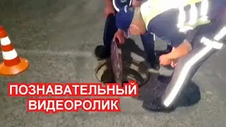 ДТП: ЧТО НУЖНО ДЕЛАТЬ ЕСЛИ ПОПАЛ В ОТКРЫТЫЙ КОЛОДЕЦ.