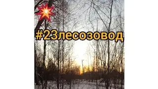 #23лесозовод #Архангельск  зима❄️🌨️🌤️ не забывайте поставить 10 лайков