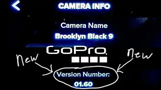 GoPro Hero 9 Black V1.6 The Update!