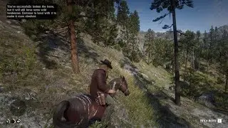 Legendary Arabian Horse . Near the Indian Camp location. #RDR2, Chapter 2, Valentine