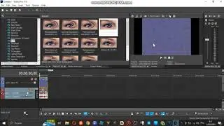 How to Make Mirror twirls using Sony Vegas Pro 19 with IL Vocodex