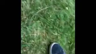 Biffy Plays With (shuttle)cock