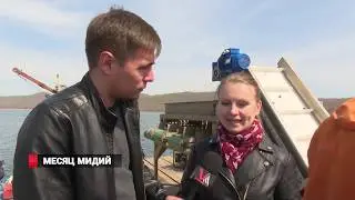 ФЕРМА МИДИЙ: Как  растят  и  готовят  деликатес