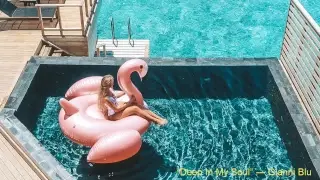 Pulse Radio • 24/7 Music Live Stream | Deep & Tropical House | Chill Music, Dance Music, EDM