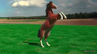 Test Render: 