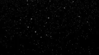 Snow Overlay Effect Black Screen 4k Video