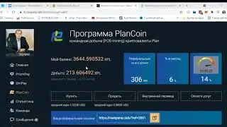 PlanCoin Как из 20 долларов сделать 220000 стратегия