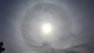 what is a sundog