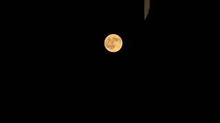Watching the Blood Moon – A Night of Cosmic Magic 🌑🌕✨ 