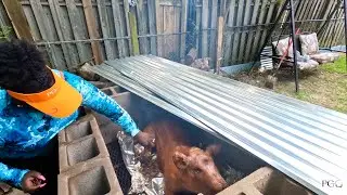 Cooking The PGO Pig - How To Cook A Whole Hog
