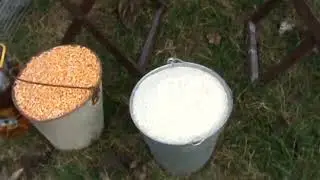 Ярмарка голубей г.Славянск-на-Кубани 18.12.2022г. 4часть