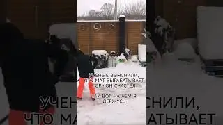 8 февраля 2024 г.